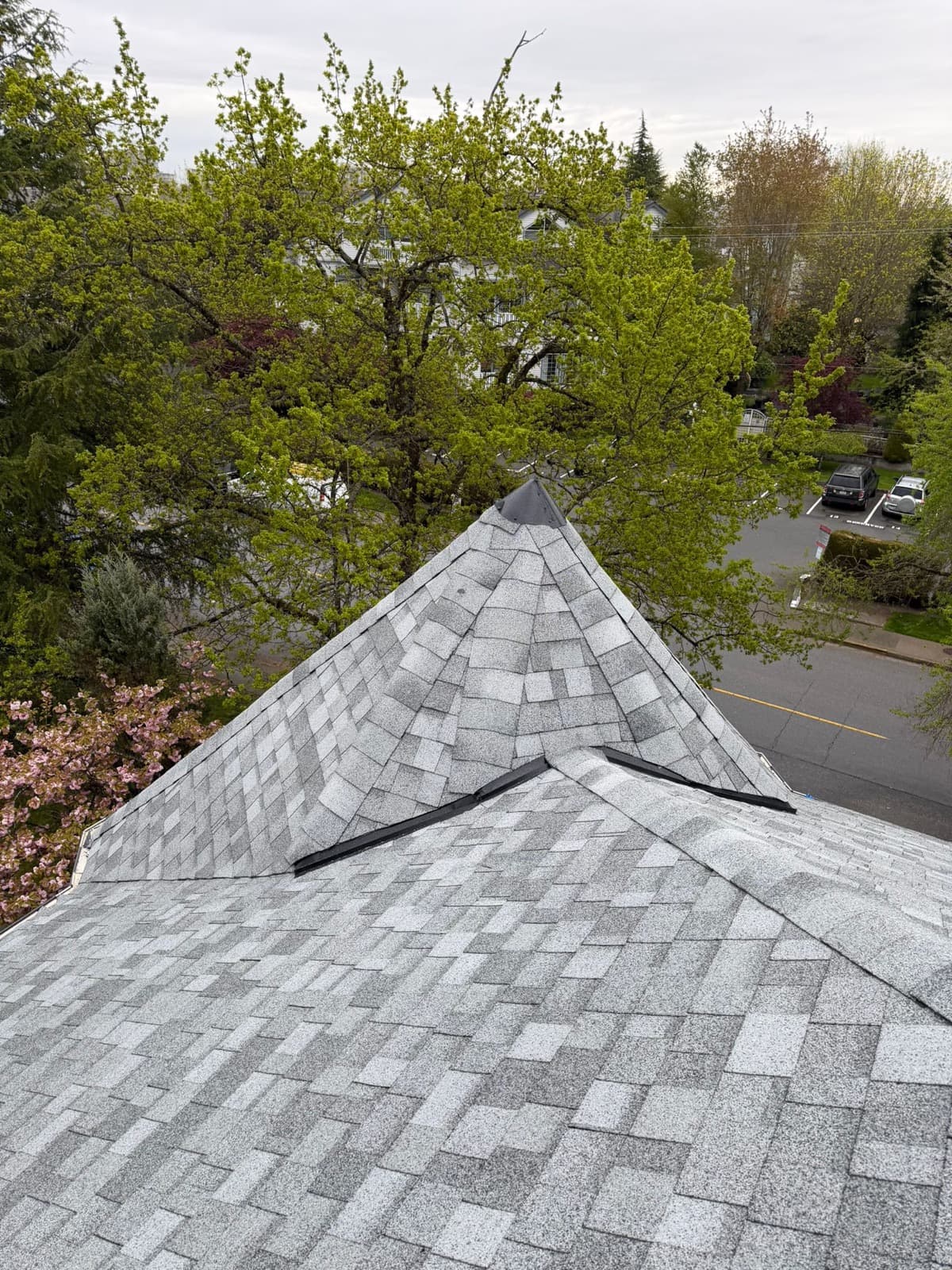 Shingle ridge detail