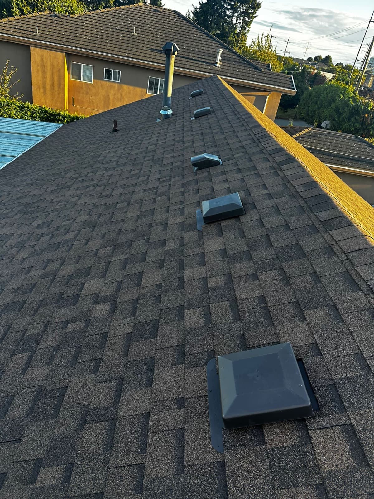 IKO Dynasty Shingles and Duraflo 50 air vents